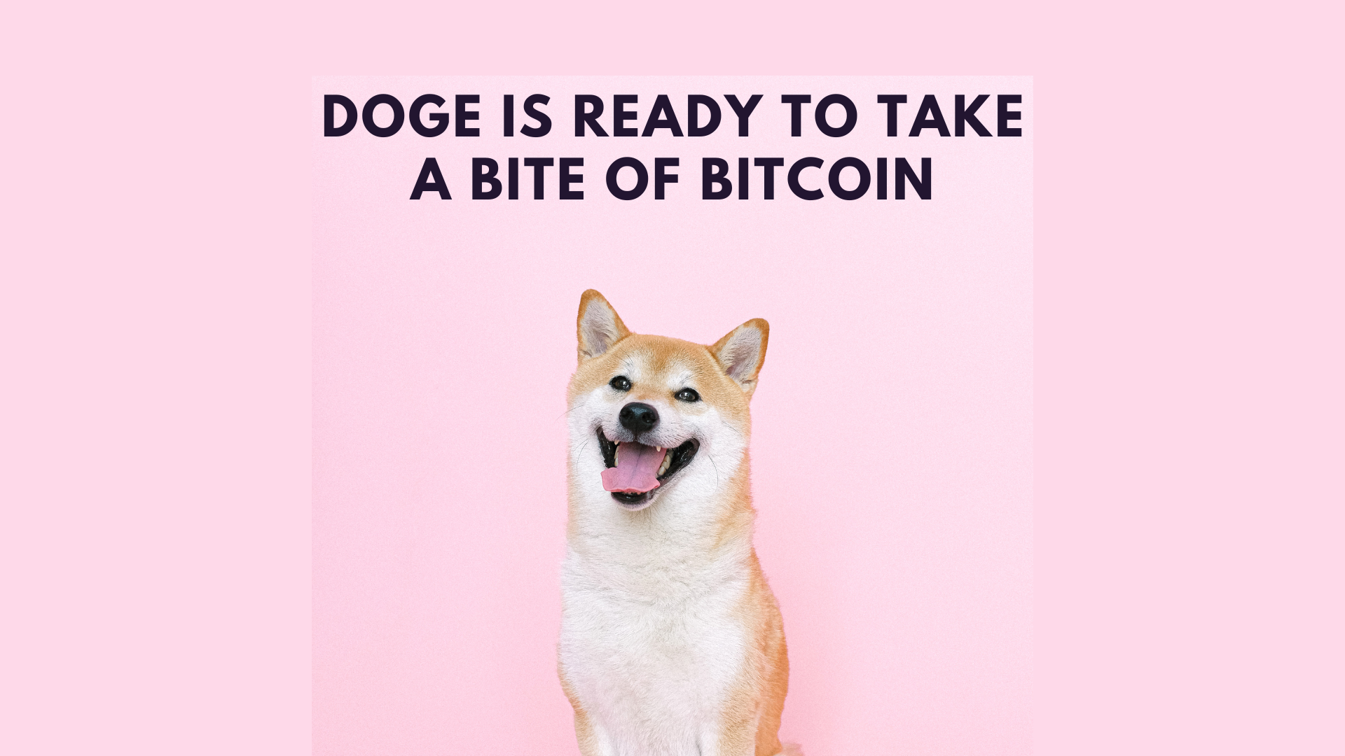 Dogecoin’s Bitcoin Rebound Could Be Bad News for Markets